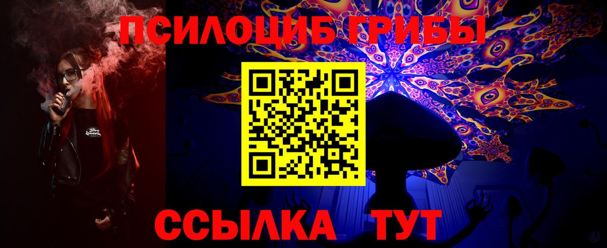 Галлюциногенные грибы Psilocybine cubensis Богданович