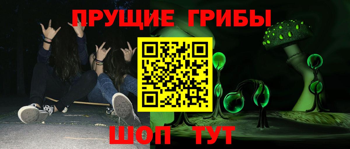 наркошоп  Вход с VPN  Псилоцибиновые грибы мицелий  Богданович  Псилоцибиновые грибы Psilocybine cubensis 